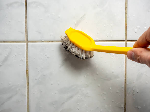 Water Damage Restoration in Arbury Hills, IL