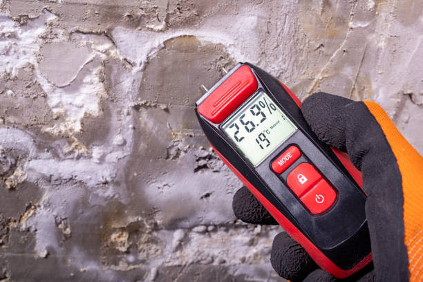 Best Mold Removal Process  in Arbury Hls, IL