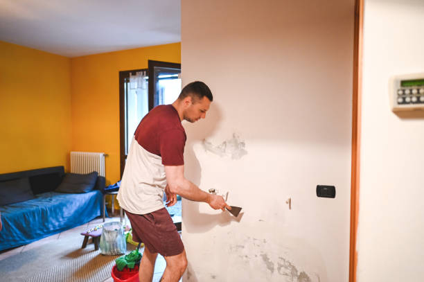 Best Crawl Space Mold Removal  in Arbury Hls, IL